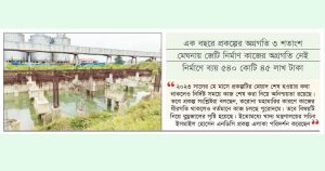 কচ্ছপের পিঠে রাইস সাইলো