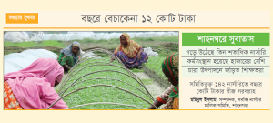 চারার গ্রাম শাহনগর