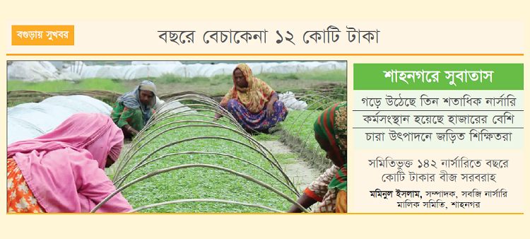 চারার গ্রাম শাহনগর