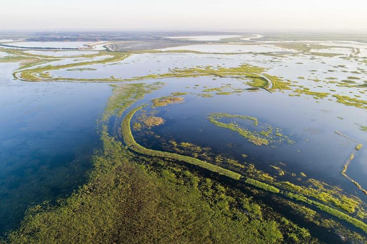 মরছে চীনের নদীও