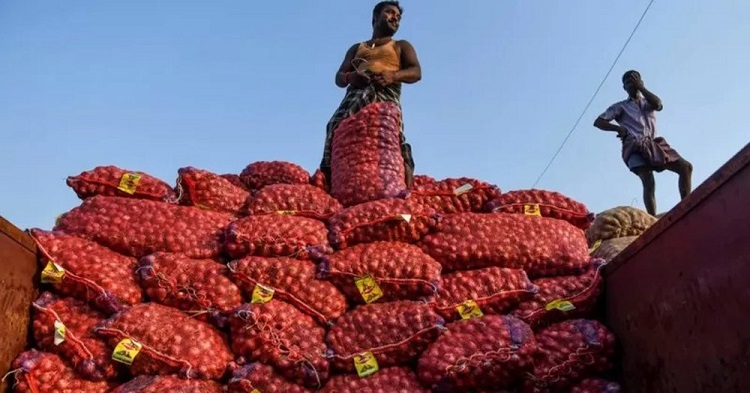 আমদানির চাপে পতন