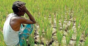 কৃষিখাতে বাড়ছে হতাশা