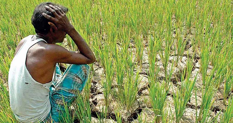 কৃষিখাতে বাড়ছে হতাশা
