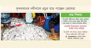 জেলের-জালে-ভরপুর-মাছ