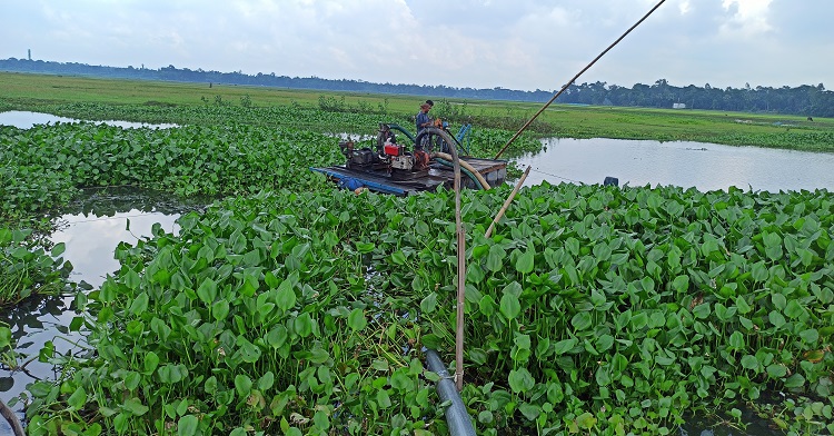 ডাকাতির শিকার ডাকাতিয়া!