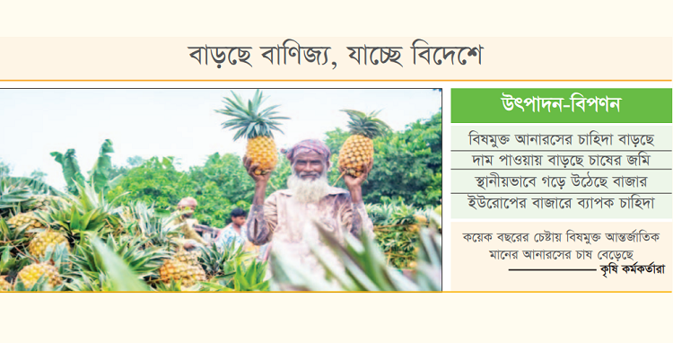 মধুপুরের-আনারসে-মধু