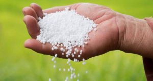 মরক্কো ও কাতার থেকে ৯০ হাজার টন সার কিনবে সরকার