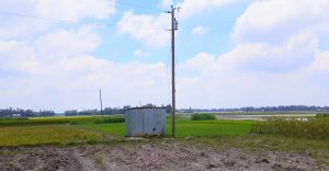 সেচে পল্লীবিদ্যুতের অবৈধ সংযোগ