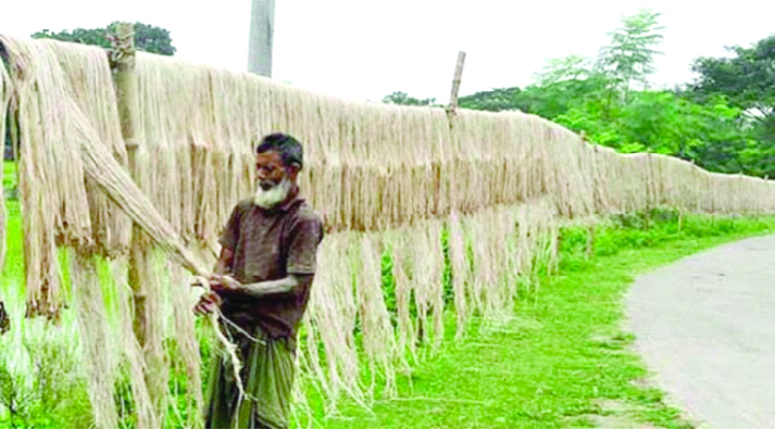 সোনালি আঁশে সুখবর