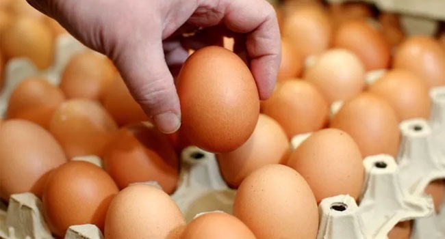 তবুও কেন আমদানি?