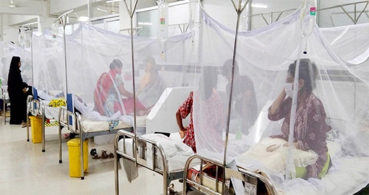 ডেঙ্গুতে আরও ৭ মৃত্যু, নতুন ভর্তি ৮৭৫