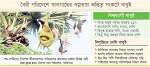 নেই শিল্পের বড়াই