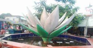 শাপলা চত্বরে মাছ চাষ, মশার কারখানা!