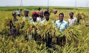 শিল্পের চেয়ে কৃষি ঋণ বাড়া‌নোর তাগিদ কেন্দ্রীয় ব্যাংকের