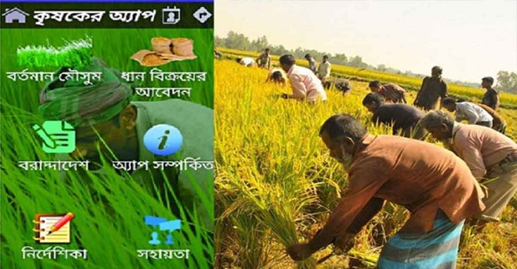 ২৭২ উপজেলায় ''কৃষকের অ্যাপ'' এ ধান কেনাসহ ১৩ নির্দেশনা