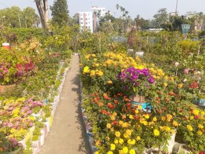 অর্থনীতিতে ফুলের সৌরভ