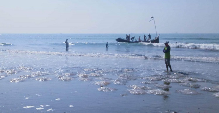 কক্সবাজার সৈকতে আবারও ভেসে আসছে মরা জেলিফিশ
