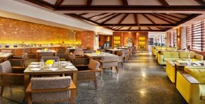 কর্মসংস্থানের নতুন দিগন্ত