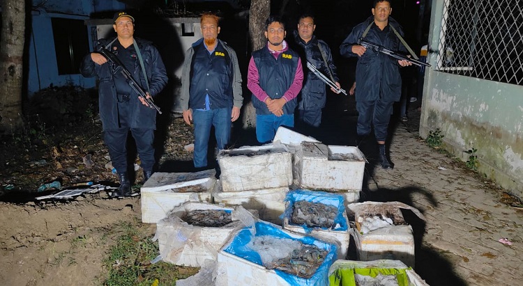 জেলি পুশ করা ৬০০ কেজি চিংড়ি জব্দ