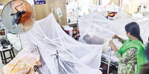 ডেঙ্গু আক্রান্ত আরও ৩ মৃত্যু, হাসপাতালে ভর্তি ২৬৫
