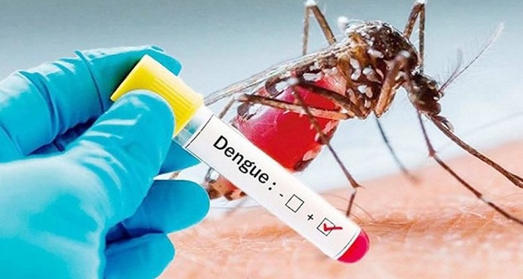 ডেঙ্গুতে মৃত্যুহীন দিনে হাসপাতালে ভর্তি ১৮৪