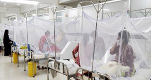 ডেঙ্গুতে ১ মৃত্যু, হাসপাতালে ভর্তি ৮৯