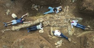 সরিসৃপের বয়স ১০ কোটি বছর!