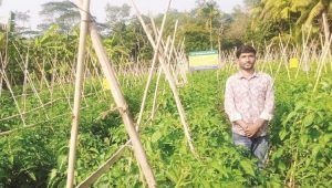 কৃষিতে স্বাবলম্বী যুবক শিমুল