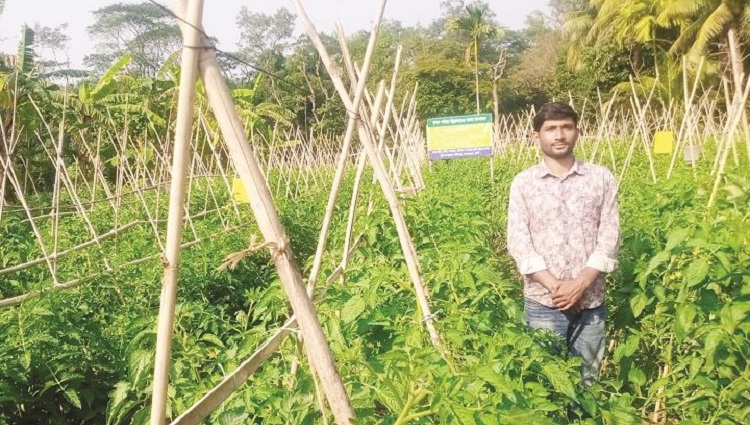 কৃষিতে স্বাবলম্বী যুবক শিমুল