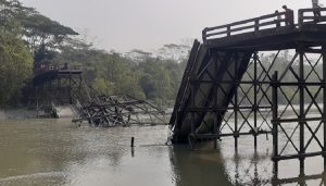 মির্জাগঞ্জে মরণফাদে পরিণত হওয়া ব্রিজে ঝুঁকি নিয়ে পারাপার!