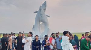 নতুন রুপে সেজেছে জবই বিল