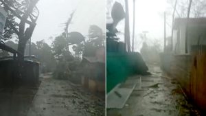 সেন্টমার্টিনে গাছচাপায় ২ জনের মৃত্যু