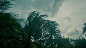 ঝড়ের আভাস