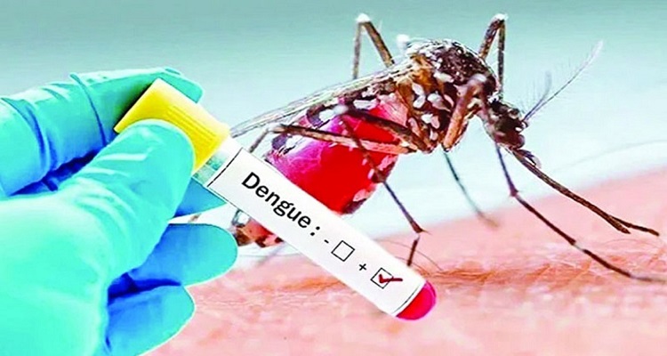 টিআইবির ডেঙ্গু পরিস্থিতিকে ‘জনস্বাস্থ্য সংকট’ ঘোষণার দাবি