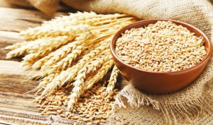 সরবরাহ সংকটের আশঙ্কায় আন্তর্জাতিক বাজারে বেড়েছে গমের দাম। মূলত রাশিয়া কৃষ্ণসাগরীয় খাদ্যশস্য চুক্তি থেকে বের হয়ে আসার ঘোষণা দেয়ার পর পরই শস্যটির বাজার ঊর্ধ্বমুখী। খবর রয়টার্স।