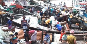 ভরা মৌসুমেও দেখা নেই ইলিশের, বিপাকে জেলে-মহাজনরা