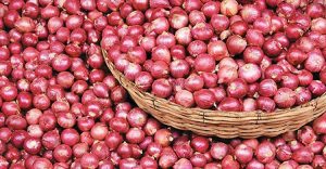 শুল্কের খবরে বেড়েছে পেঁয়াজের ঝাঁজ