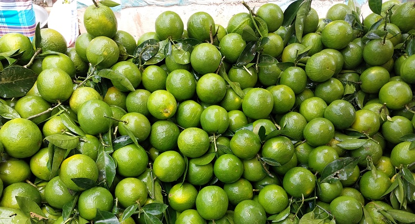 আখাউড়া (ব্রাহ্মণবাড়িয়া) প্রতিনিধি