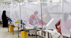 ডেঙ্গুতে রেকর্ড ২১ জনের মৃত্যু!