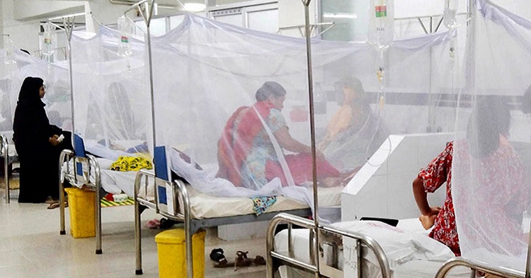 ডেঙ্গুতে ২০ জনের মৃত্যু, হাসপাতালে ভর্তি ২৬৮৯
