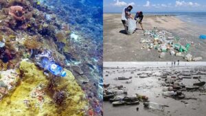 প্রতিদিন ৩০০০ কেজি প্লাস্টিক বর্জ্য ফেলেন পর্যটকরা