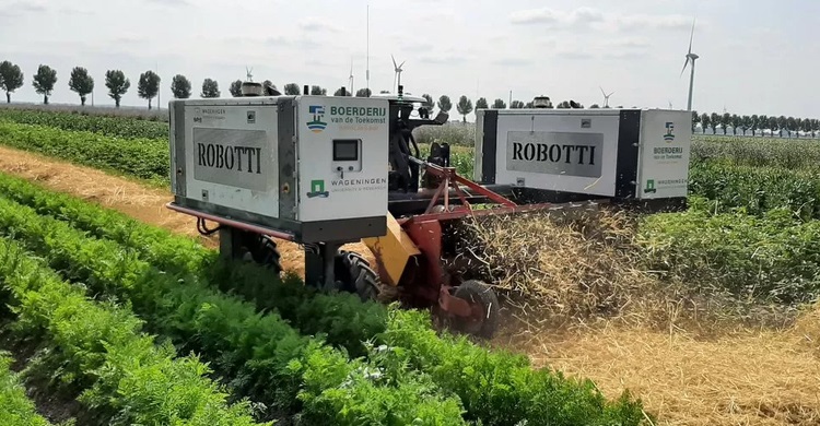 প্রযুক্তির ছোঁয়ায় কৃষিকে নতুন আঙ্গিকে বদলে দিচ্ছে নেদারল্যান্ডস