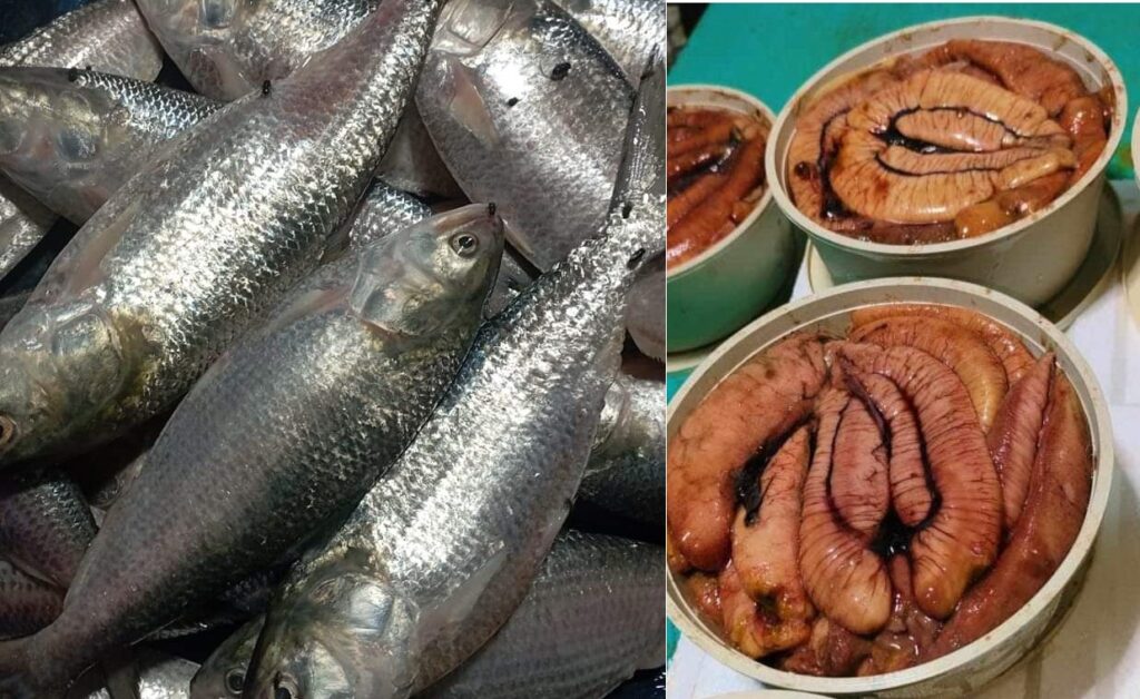 ভোলায় মা ইলিশ ধরতে চান না জেলেরা