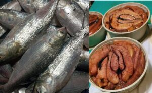 ভোলায় মা ইলিশ ধরতে চান না জেলেরা