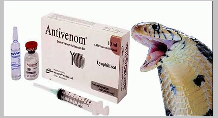 সাপে কাটে গ্রামে, অ্যান্টিভেনম শহরে!