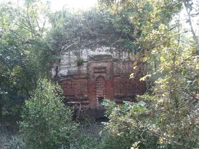 সুন্দরবনে বাড়ছে পর্যটনকেন্দ্র, ‌দেখার সু‌যোগ মিলবে 'বাঘের বা‌ড়ি'