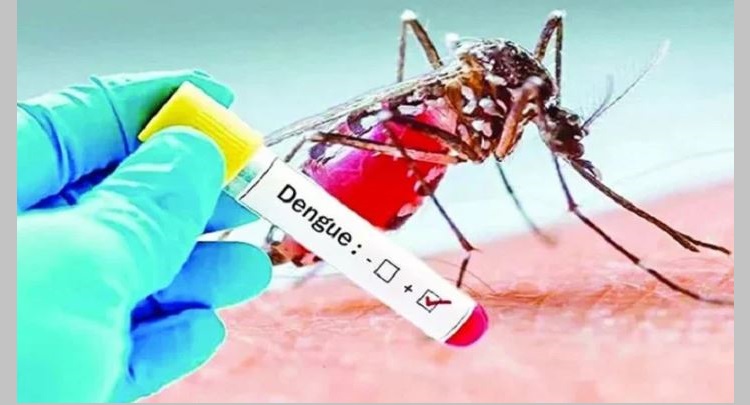 ডেঙ্গুতে একদিনে ২০ মৃত্যু, হাসপাতালে ভর্তি ১৮৮৯