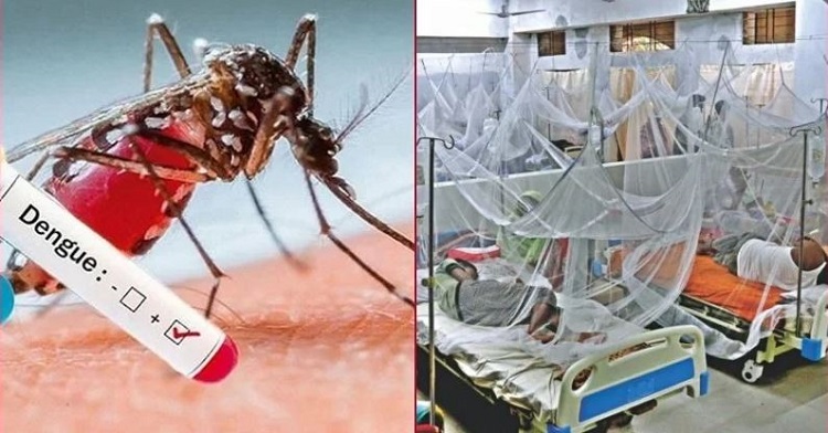 ডেঙ্গুতে মৃত্যু হাজার ছাড়াল, উদ্বিগ্ন জনস্বাস্থ্যবিদরা