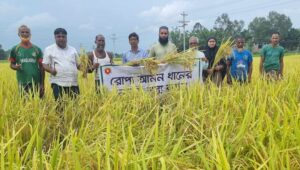 নীলফামারীতে আগাম আমন ধানের নমুনা শস্য কর্তন