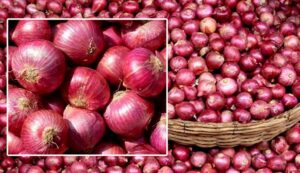 ভারতে পেঁয়াজের রপ্তানিমূল্য বাড়ার খবরে দেশে কেজিতে বাড়ল ৪৫ টাকা